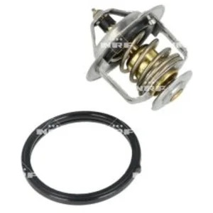 Thermostat nrf 725251