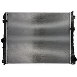 NRF B.V. Radiateur moteur pour BMW: Série 4, Série 3, Z4 (Ref: 550210)
