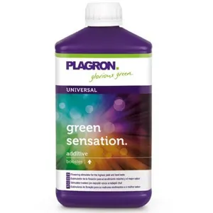 GREEN SENSATION 1 litre - Plagron