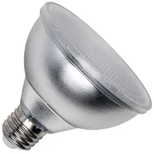 SPL LED PAR30 Glass - 10,5W / DIMBAAR / IP65 (voor buiten) pas cher