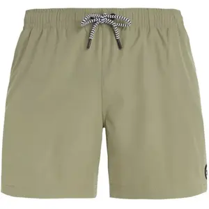 Protest PRTYESSINE Heren Strandshorts pas cher