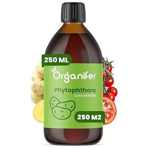 Phytophthora Concentraat 250ml - Voor 250m2 - Aardappelziekte Bestrijd...