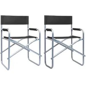 vidaXL Chaises de metteur en scène lot de 2 Acier Noir pas cher