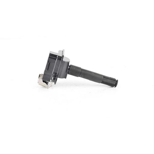 Bobine BSG90835004 BSG pas cher