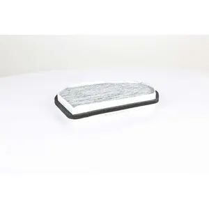 Interieurfilter BSG60145022 BSG pas cher