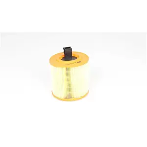 Luchtfilter BSG65135032 BSG pas cher