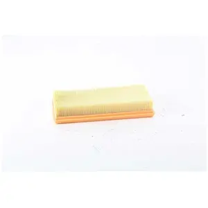 Luchtfilter BSG75135010 BSG pas cher