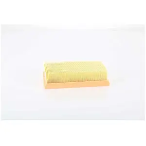 Luchtfilter BSG75135022 BSG pas cher
