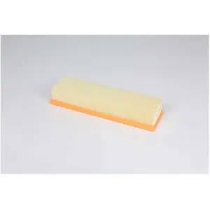 Luchtfilter BSG60135045 BSG pas cher