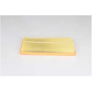 Luchtfilter BSG25135015 BSG pas cher