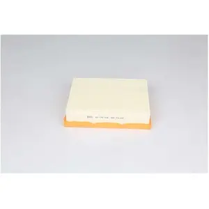 Luchtfilter BSG60135018 BSG pas cher