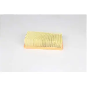 Luchtfilter BSG25135007 BSG pas cher