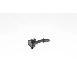 Bobine BSG65835017 BSG pas cher