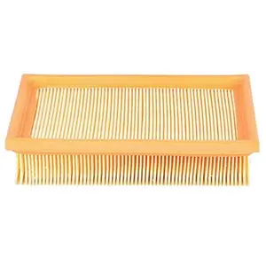 Luchtfilter BSG15135001 BSG pas cher