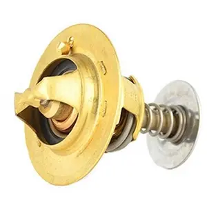 Thermostaat koelvloeistof BSG30125019 BSG pas cher