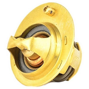 Thermostaat koelvloeistof BSG30125020 BSG