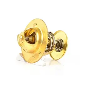 Thermostaat koelvloeistof BSG30125003 BSG