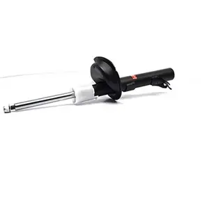 Schokdemper BSG30300021 BSG pas cher