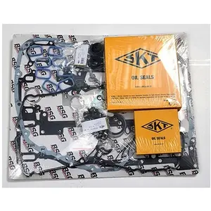 Complete pakkingset motor BSG30115001 BSG pas cher
