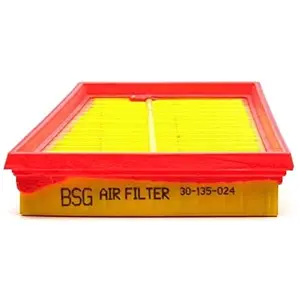 Luchtfilter BSG30135024 BSG pas cher