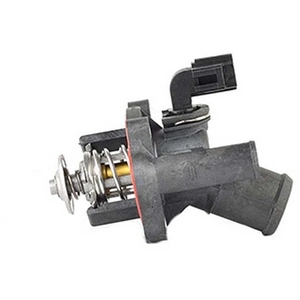 Thermostaat koelvloeistof BSG30126007 BSGVendu parwinparts