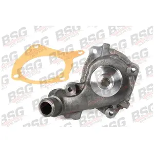 Waterpomp motorkoeling BSG30500017 BSG pas cher