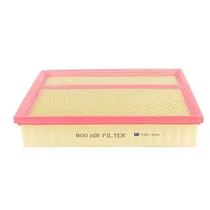 Luchtfilter BSG60135014 BSG pas cher