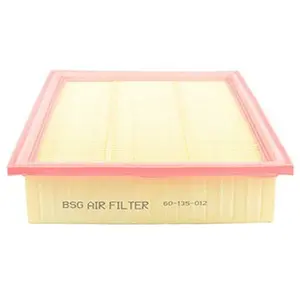 Luchtfilter BSG60135012 BSG pas cher
