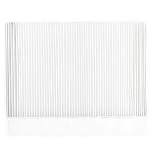 Interieurfilter BSG60145001 BSG pas cher