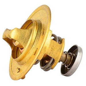 Thermostaat koelvloeistof BSG65125003 BSG