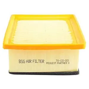 Luchtfilter BSG70135001 BSG