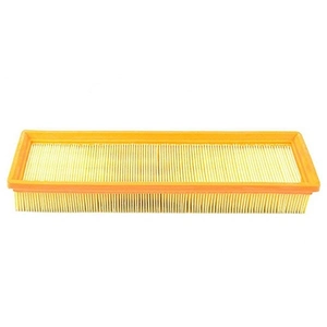 Luchtfilter BSG70135004 BSG pas cher
