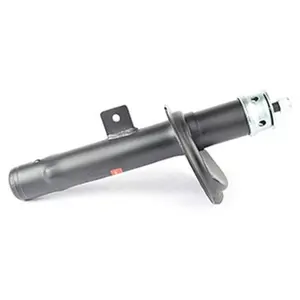 Schokdemper BSG70300005 BSG pas cher