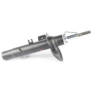 Schokdemper BSG70300015 BSG pas cher