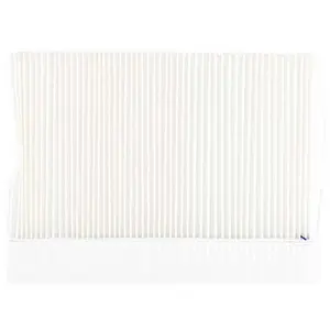 Interieurfilter BSG90145006 BSG pas cher