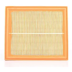 Luchtfilter BSG90135006 BSG pas cher