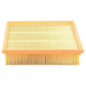 Luchtfilter BSG90135002 BSG