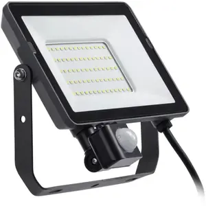 Philips ProjectLine schijnwerper - 30 W - Warmwit licht - Sensor