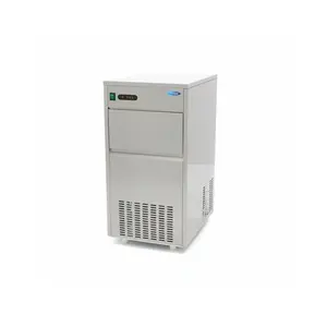 Maxima Ijsblokjesmachine 60 Kg/Dag Holle Ijsblokjes Luchtgekoeld
