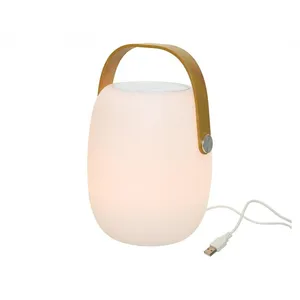 JARDIDECO Enceinte LED d'extérieur blanc chaud pas cher