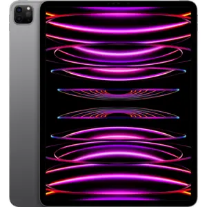 White Label iPad Pro (2022) 12,9 Pouces 256 Go Wifi Gris Sidéral Reconditionné (Comme neuf) pas cher