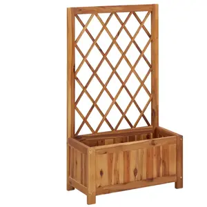 vidaXL Lit surélevé de jardin avec treillis Bois massif d'acacia pas cher