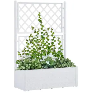 Comparateur de prix : vidaXL Lit surélevé de jardin et treillis et système d'arrosage Blanc