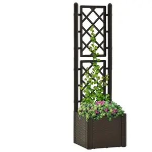 vidaXL Lit surélevé de jardin et treillis et système d'arrosage Moka pas cher