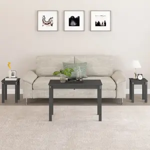 Comparateur de prix : vidaXL Tables gigognes 3 pcs Gris Bois de pin massif
