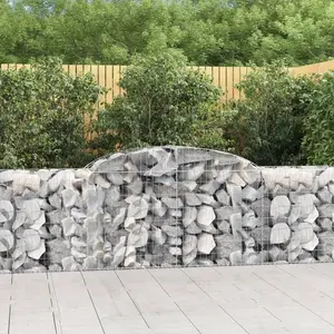 Comparateur de prix : vidaXL Paniers à gabions arqués 17 pcs 300x50x80/100 cm fer galvanisé