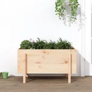 vidaXL Lit surélevé de jardin 101x50x57 cm bois de pin massif pas cher