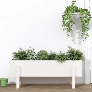 vidaXL Lit surélevé de jardin blanc 101x30x38 cm bois de pin massif pas cher