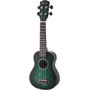 Comparateur de prix : Fazley K5521-COL-G ColourTune sopraan ukelele groen