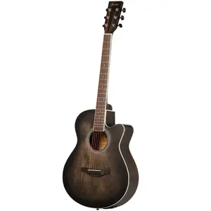Fazley W55-Col-Bk-Eq Colourtune Guitare Ãlectro-Acoustique Folk Noire